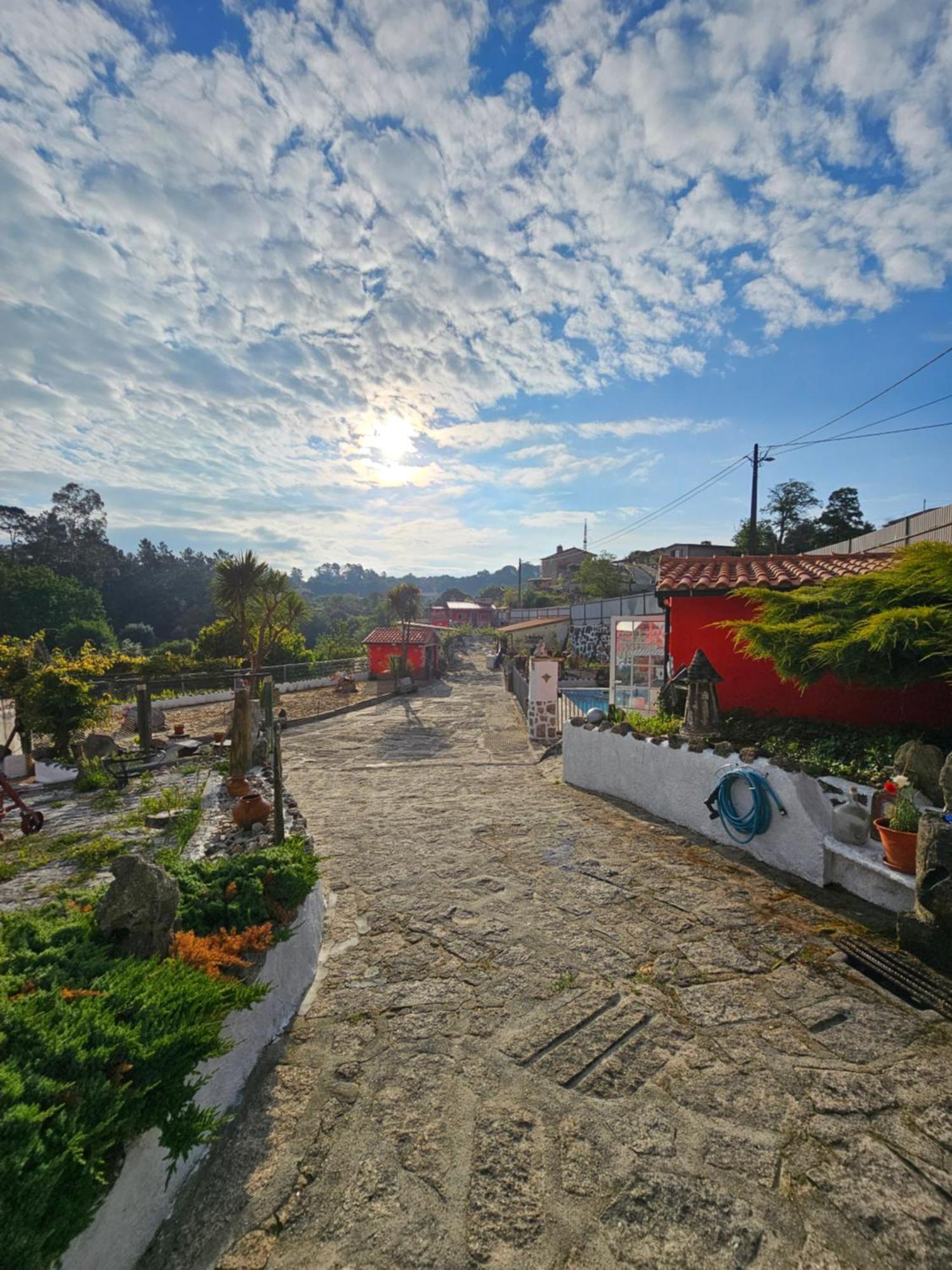 Hotel Tropical Dream Farm Vouzela Exteriér fotografie